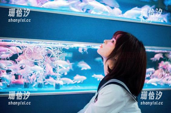 河豚抚子 一套图包,不想分享却没办法,河豚抚子我们还能如何?