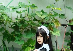 白莉爱吃巧克力的兔女郎魔力套图，让人忍不住想追溯她的兔耳朵